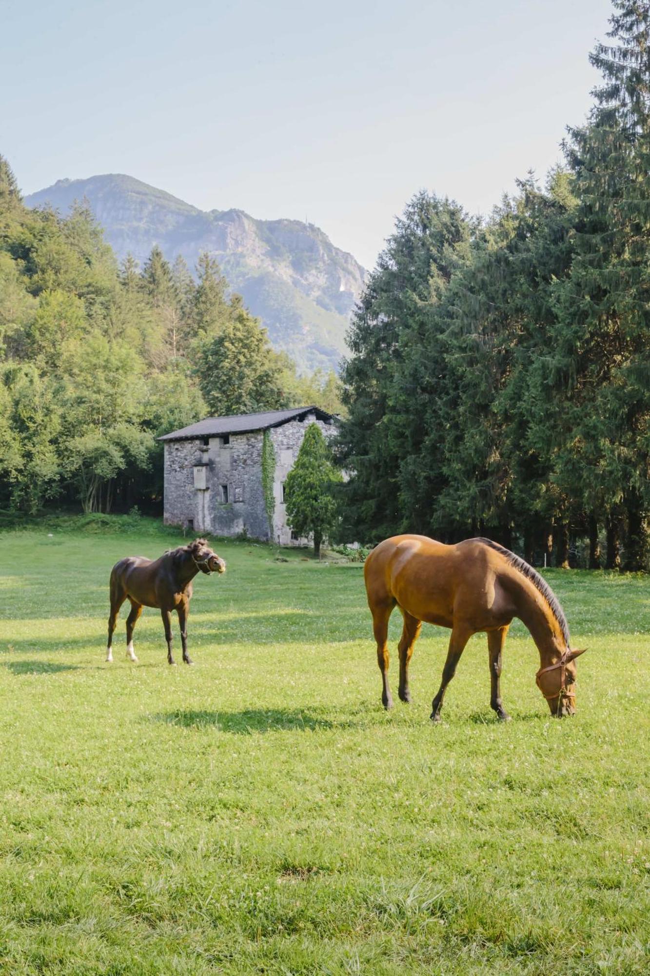 Agriturismo Ferdy Villa Lenna Kültér fotó