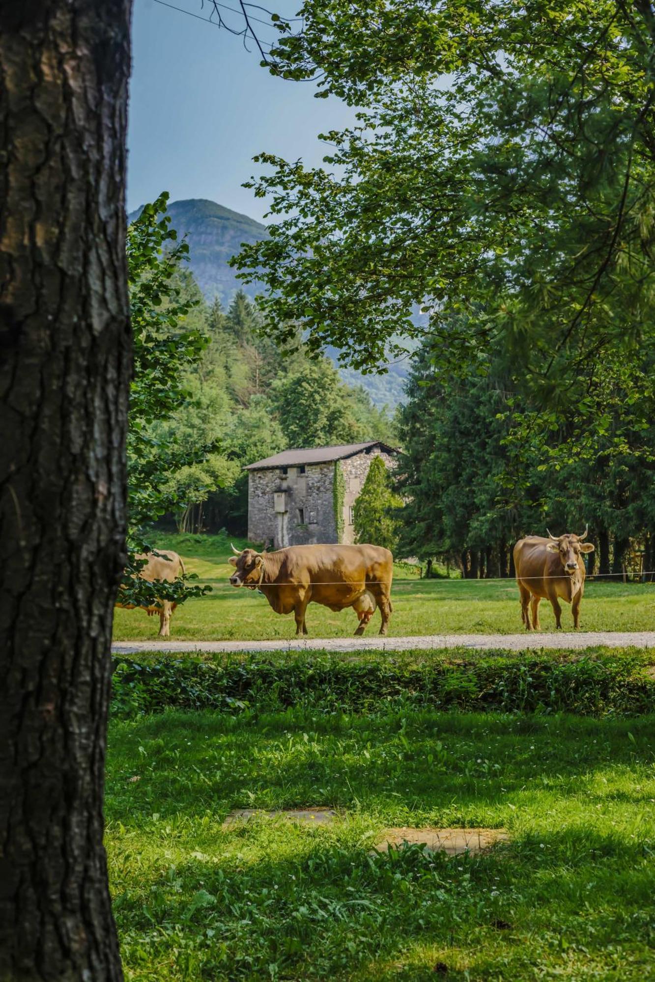 Agriturismo Ferdy Villa Lenna Kültér fotó